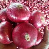 Onion Fresh- Big Size - Fresh, 1kg