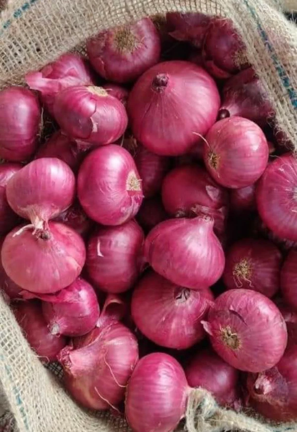 Onion Fresh- Mid Size - 1kg, Fresh