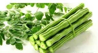Drumstick/Sojnedata- সজনে ডাটা  - 100g