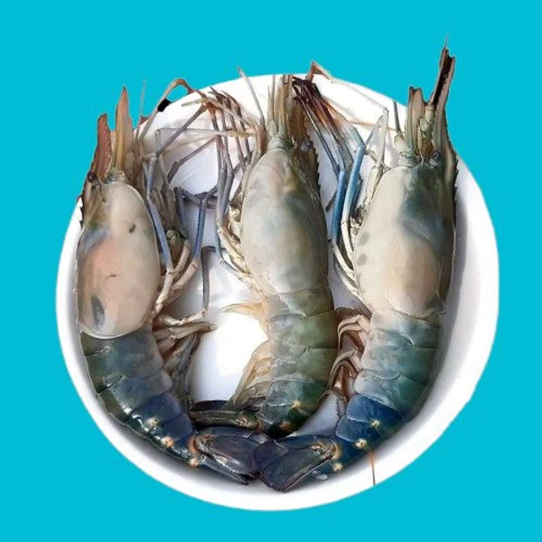 Golda Chingri/Fresh Water Scampi  - 1kg, Medium Size