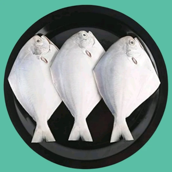 Pomfret Fish - 1kg, Order 1 Day Before