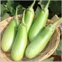 Bringal/Begun- Long (Green) - 500g, Fresh