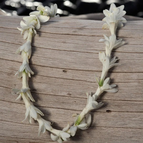 Tuberose Single Chain - 1pcs