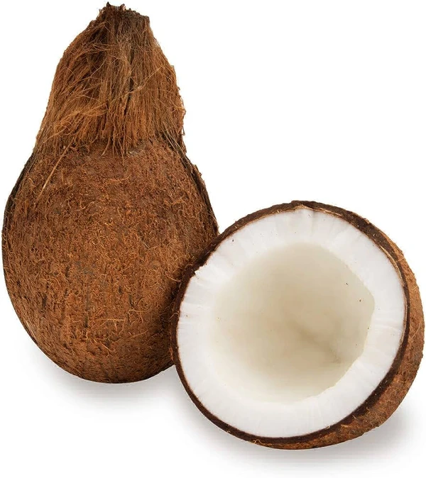 Coconut Medium - 1pcs