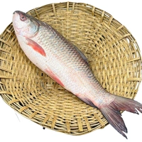 Rui/রুই - Whole Cut(Upto 700g-1kg) - 900g