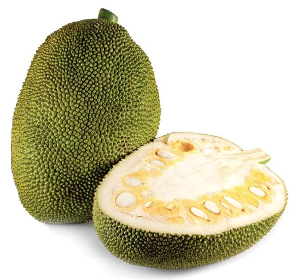 Raw Jackfruit/এঁচোড় - 2kg, fresh