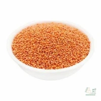 Sona Masoor Dal  - 500g, Premium