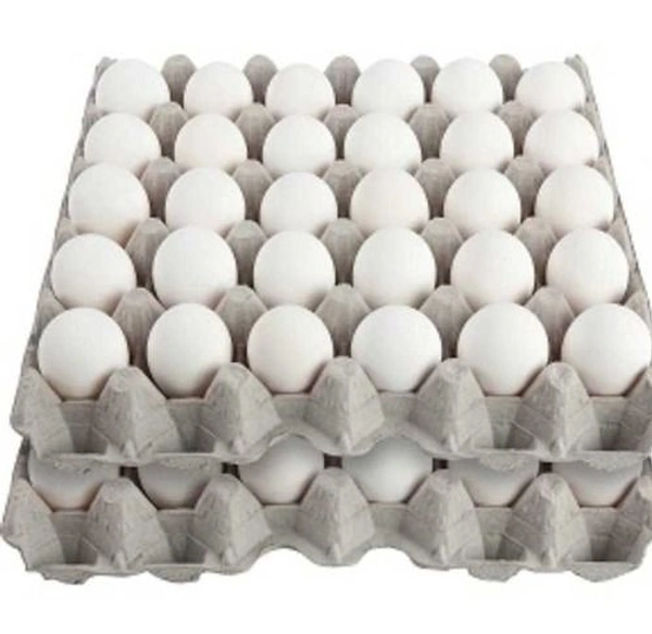 Anda / Egg - Single