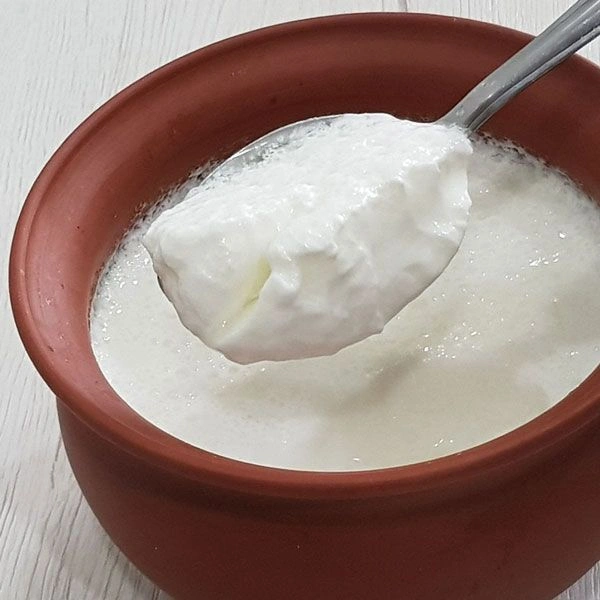 Kautuki Plain Dahi Pouch - 400 Gram