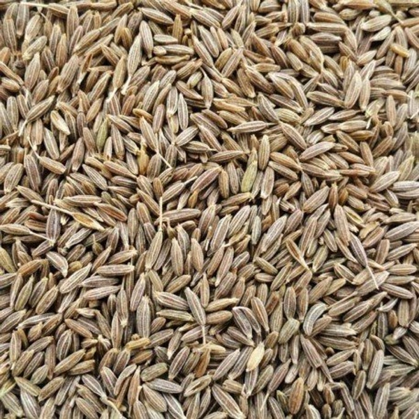 Loose Jeera - 500 Gram