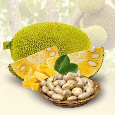 Jack fruit Products