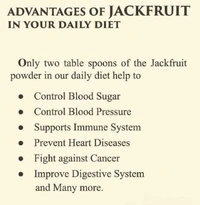 Jack Fruit Chips - 500gm