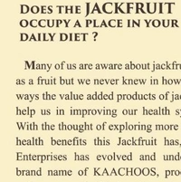 Jack Fruit Chips - 250gm
