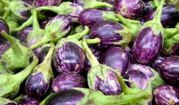 Brinjal / वांगी (250 Grams )