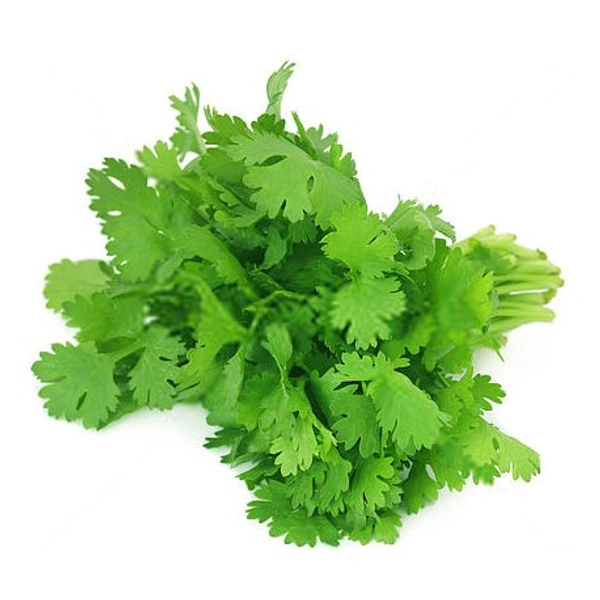 Coriander Leaves / कोथिंबीर