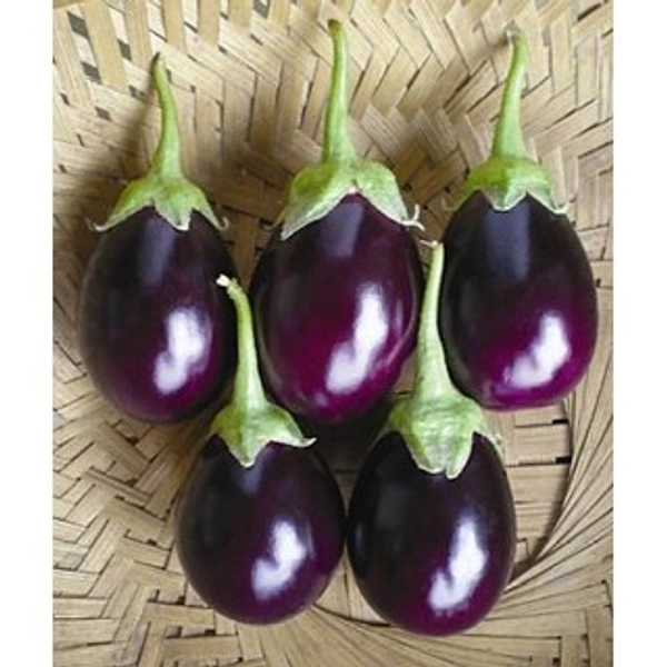 Brinjal / भरीत वांगी ( 250gram )