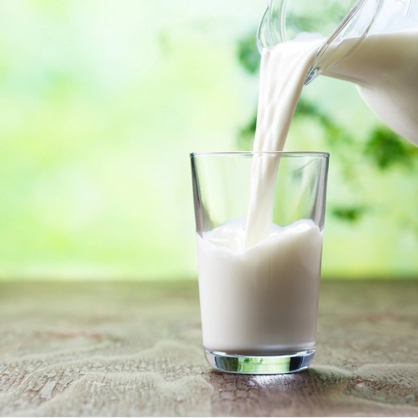 Milk / दूध ( 500  ML ) - bufelo milk