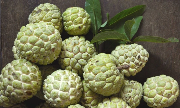 Custard Apple / सीताफळ ( 500 Gram )