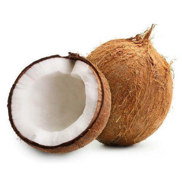 Nariyal नारियल - M