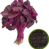 GLP Cheera Red  Seed Quality 1 Kg Product GLP COMPANY - 1 kg, Red, best in class, seed