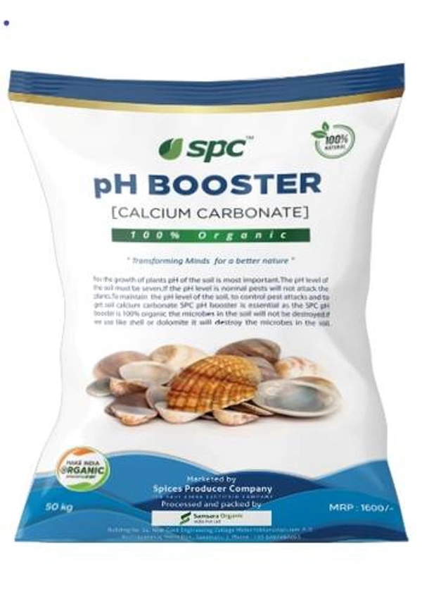 Ph Booster 2 Kg 
