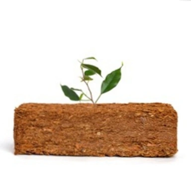 COCONUT PEAT