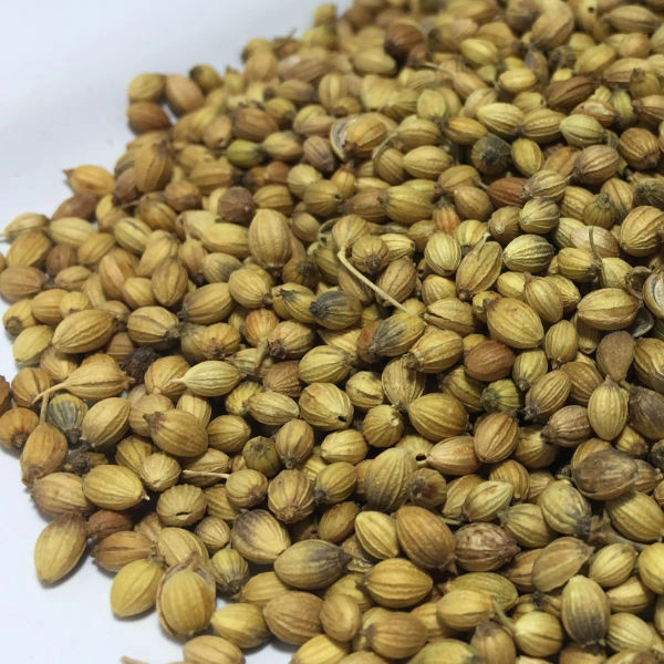 DANIYA(pudina) (Malli) - 1KG