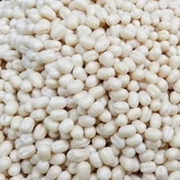 ORID DALL(loose) - 250G