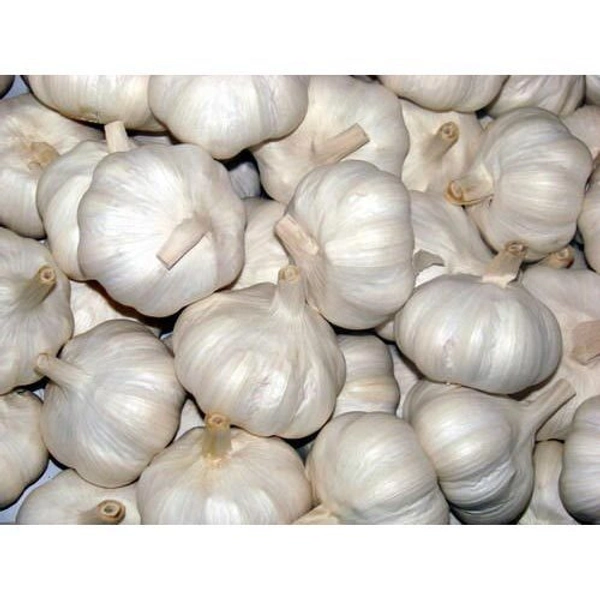 Garlic (Poondu) - 1kg