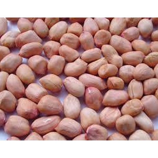 Ground Nut (Non Roasted) (Verkadalai) - 1kg