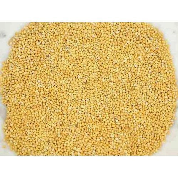 Foxtail Millet(தினை) - 500g