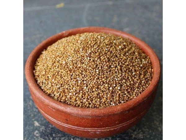 Kodo Miller(வரகு) - 500g