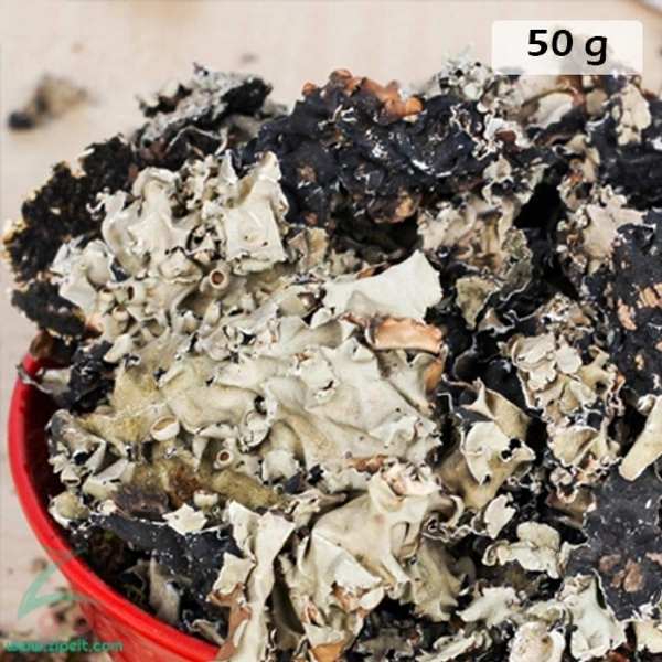 Kalpasi - 1 nos