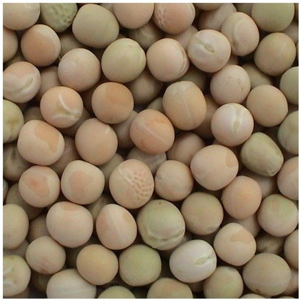White Peas (Pattani) - 250g