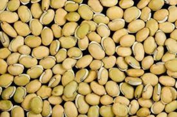 Field Beans white/வெள்ள மொச்சை - 1/4 KG