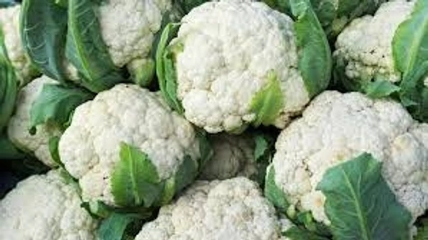 காலிஃப்ளவர்-Veg