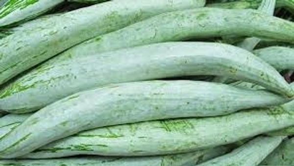 புடலங்காய்-Veg - 1/4KG