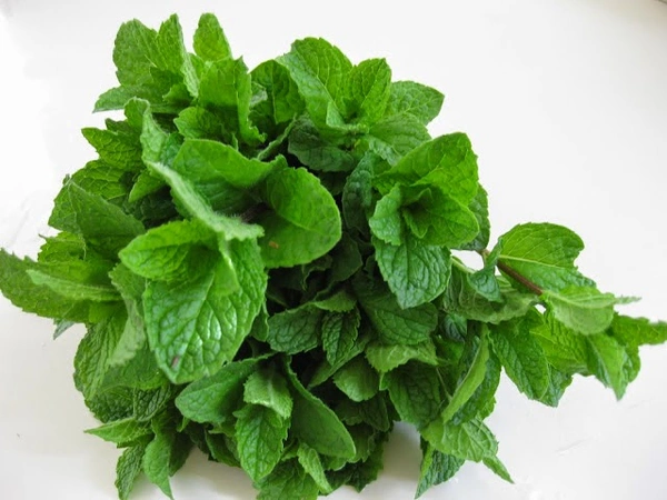 Mint Leaves(Pudina) 1 Bunch 