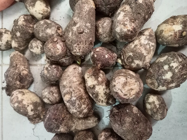Arabi(Colocasia) 250g