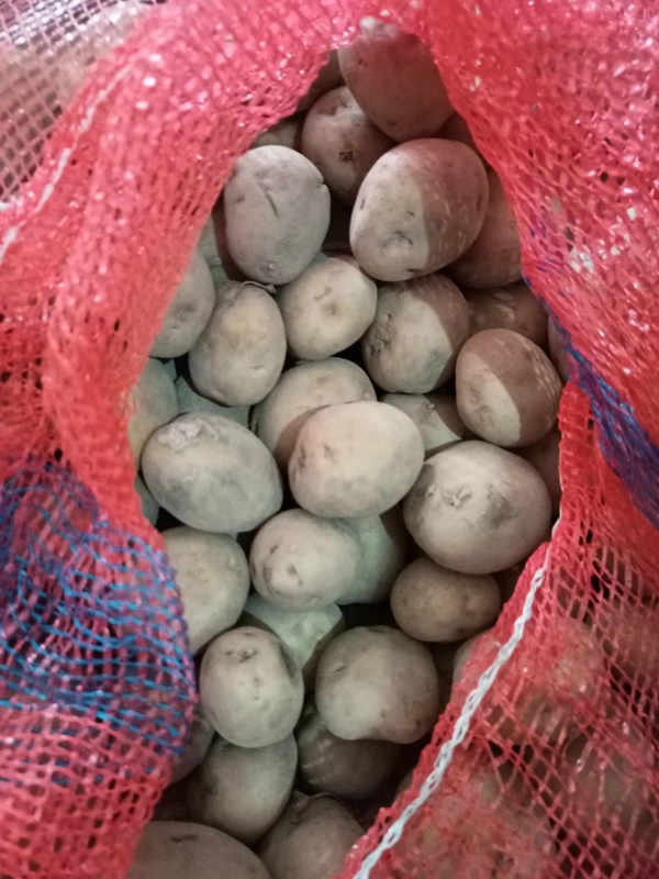 Potato - Potato 1kg