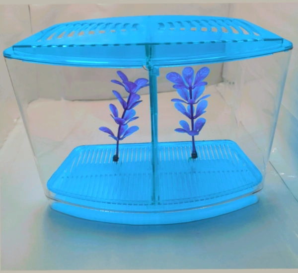 Taiyo Double House Betta/Fighter Fish Tank|Acrylic|With LED Light - Royal Blue, 1.5 Litre