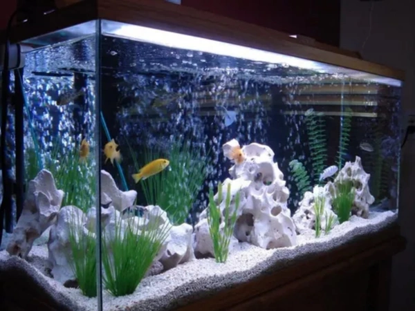 Aquarium Air Pump|Single Nozzle|Venus Aqua AP-308A|Power:3 Watt  - AP-308A
