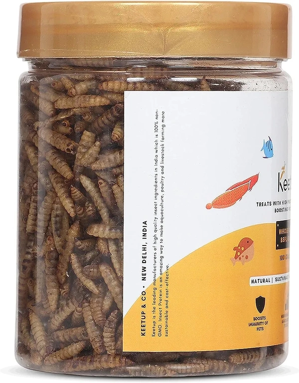 KEETUP Dried Black Soldier Fly Larvae Treat - Fish Food for Arowana, Oscar, Flowerhorn & Other Carnivorous Fishes - Omega 3 & 6, 50x More Calcium Than Mealworms  - 100 Gm