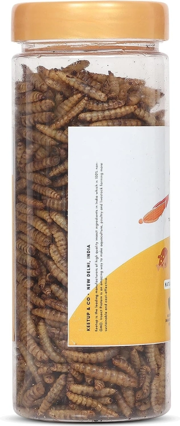 KEETUP Dried Black Soldier Fly Larvae Treat - Fish Food for Arowana, Oscar, Flowerhorn & Other Carnivorous Fishes - Omega 3 & 6, 50x More Calcium Than Mealworms  - 55 Gm