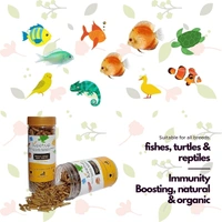 KEETUP Dried Black Soldier Fly Larvae Treat - Fish Food for Arowana, Oscar, Flowerhorn & Other Carnivorous Fishes - Omega 3 & 6, 50x More Calcium Than Mealworms  - 55 Gm