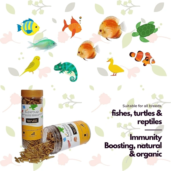 KEETUP Dried Black Soldier Fly Larvae Treat - Fish Food for Arowana, Oscar, Flowerhorn & Other Carnivorous Fishes - Omega 3 & 6, 50x More Calcium Than Mealworms  - 55 Gm