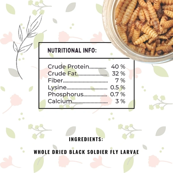 KEETUP Dried Black Soldier Fly Larvae Treat - Fish Food for Arowana, Oscar, Flowerhorn & Other Carnivorous Fishes - Omega 3 & 6, 50x More Calcium Than Mealworms  - 55 Gm