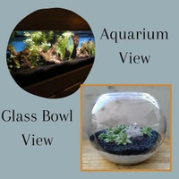 Black Color Sugar Size Sand For Decor Aquarium, Terrarium, Garden Pot etc.  - Black, 1 Kg