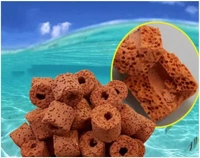 Red Ceramic Ring For Aquarium Filter Media Use - 500 Gm