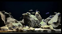 Black Vinyl Paper For Wrapping Aquarium Background|Height: 2 Feet - (10×2) Feet
